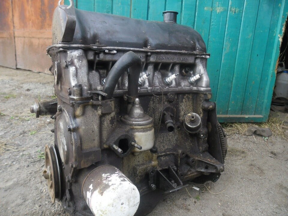 scale_1200 (26).jpg