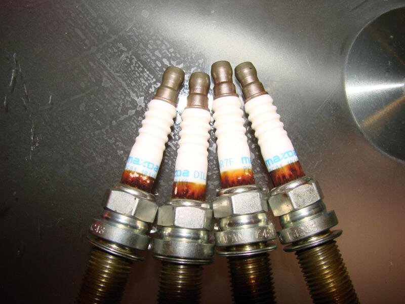 scale_1200 (22).jpg