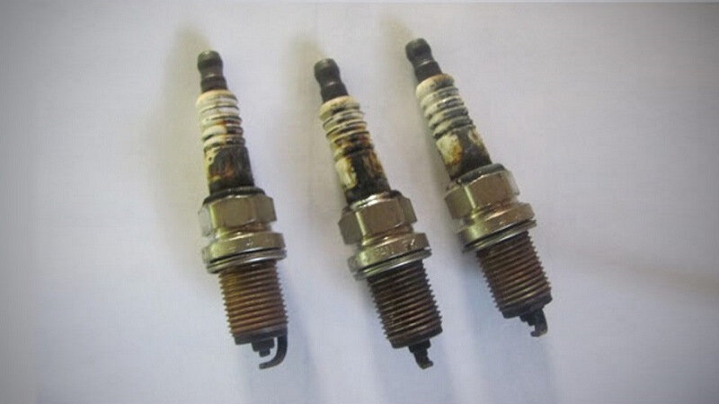 scale_1200 (23).jpg