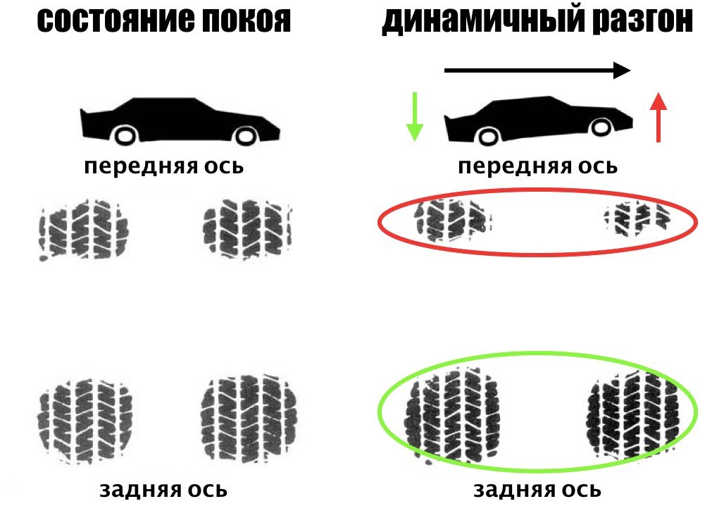scale_1200 (31).jpg