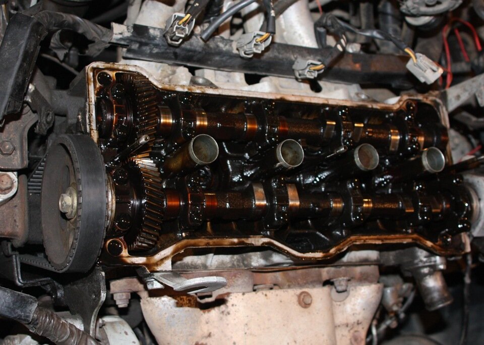 scale_1200 (21).jpg