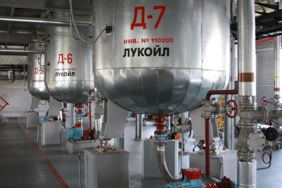 scale_1200 (9).jpg